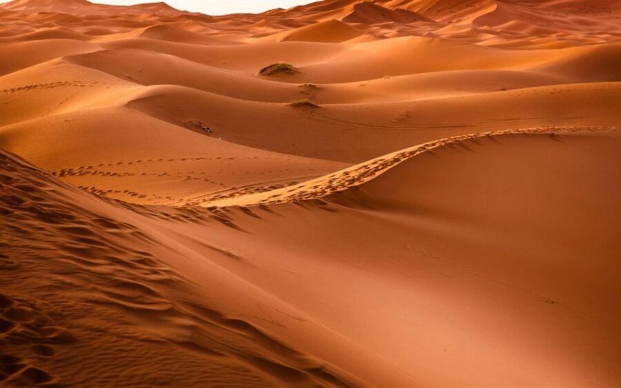 From Casablanca: 10 Day Morocco Calissc Tour