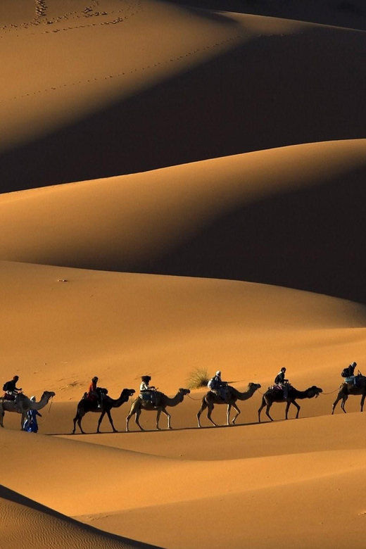 From Casablanca : 15 Day Morocco Classic Tour