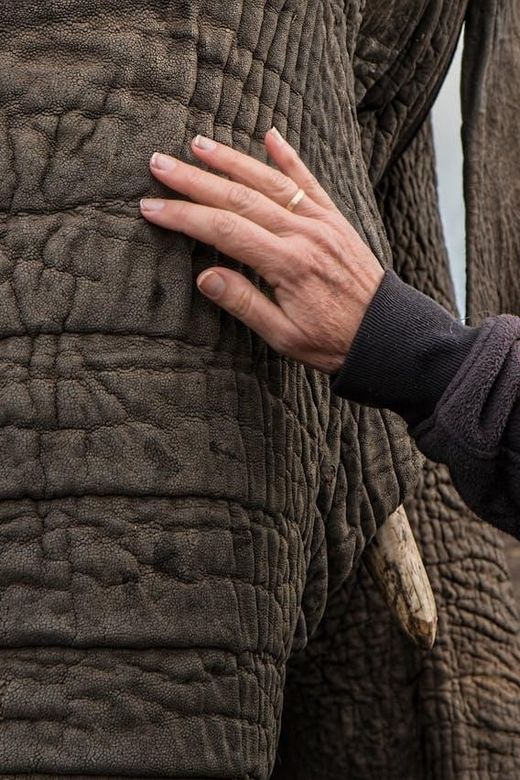 From Delhi: Sunrise Taj Mahal and Elephant Wildlife SOS Tour - Itinerary Breakdown