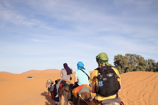 From Fes to Marrakech: 4 Day Group Tour via the Desert Merzouga - Itinerary Highlights