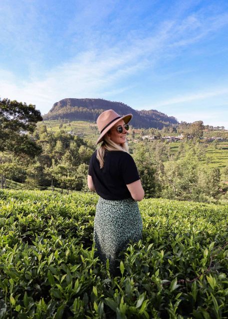 From Kandy: Nuwara Eliya & Ramboda Waterfall Day Tour by Tuk