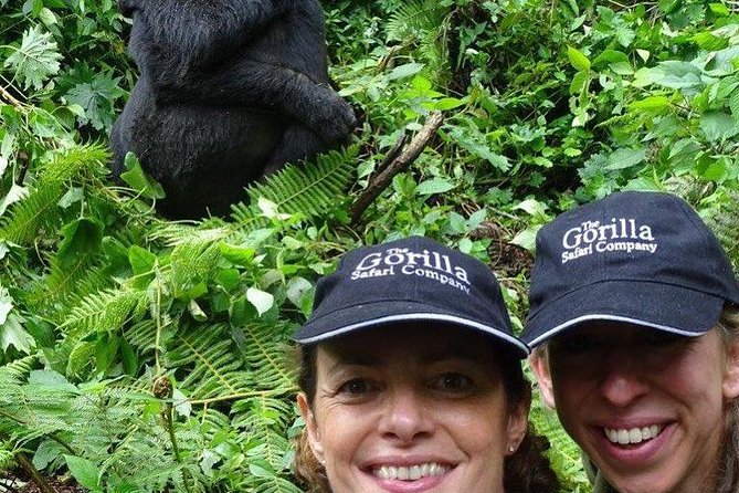 From Kigali: 3 Days Gorillas and Golden Monkeys Trek Adventure