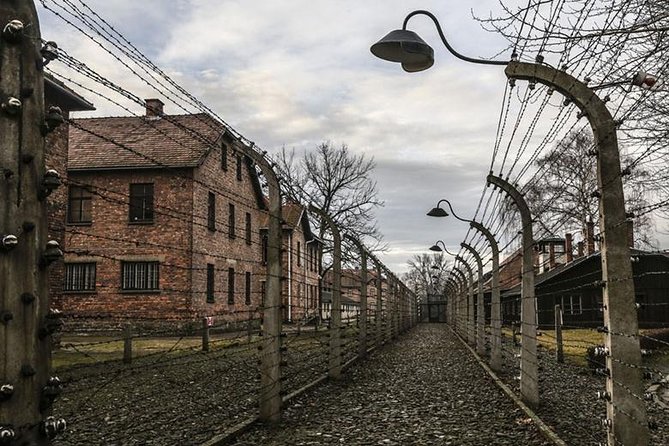 From Krakow: Auschwitz-Birkenau Guided Tour (Hotel Pick Up) - Tour Options at a Glance