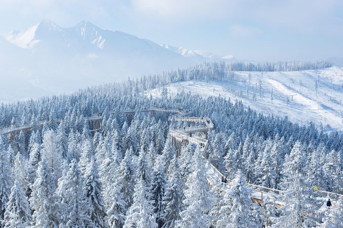 From Kraków: Slovakia Treetop Walk and Bachledka Ski - Exploring the Folk Village of Ždiar