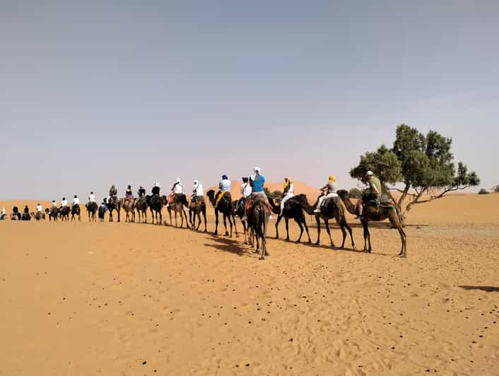 4 Best Tours In Beni Mellal