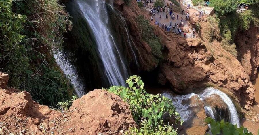 From Marrakech: Ouzoud Waterfalls Day Trip With Local Guide