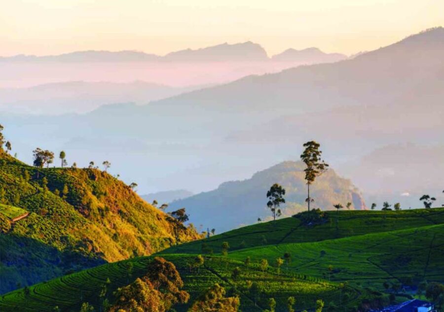 From Nuwara Eliya: Haputale Highlands Private Day Tour