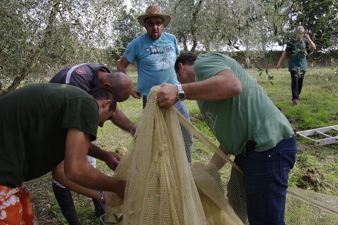 From Olives to Oil: Tasting With Lunch or Dinner