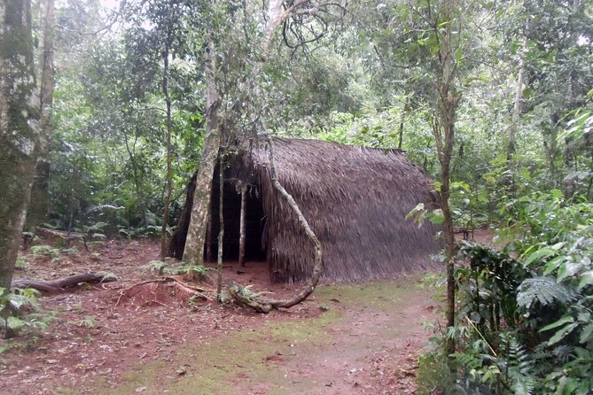 From Puerto Iguazu: Guarani Village Tour With Brunch