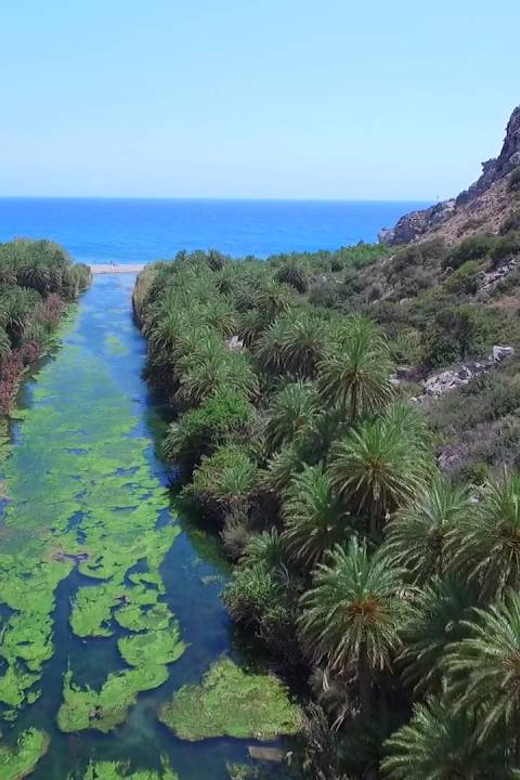 From Rethymno: Preveli Palm Forest, Damnoni and Plakias Tour