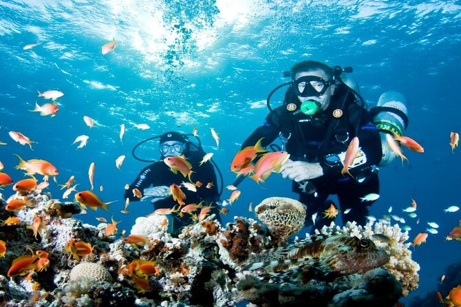 From Side, Alanya: Scuba Diving With 2 Time Dive & Lunch