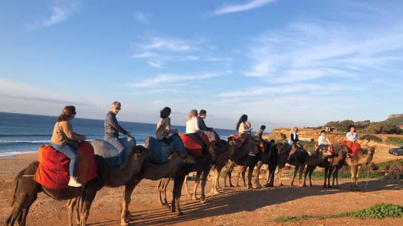 From Tarifa: Tangier Full Day Trip With Guide