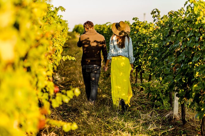 From Turin Private, Langhe Wine Tour With Transfer and Lunch - Highlights of the Experience