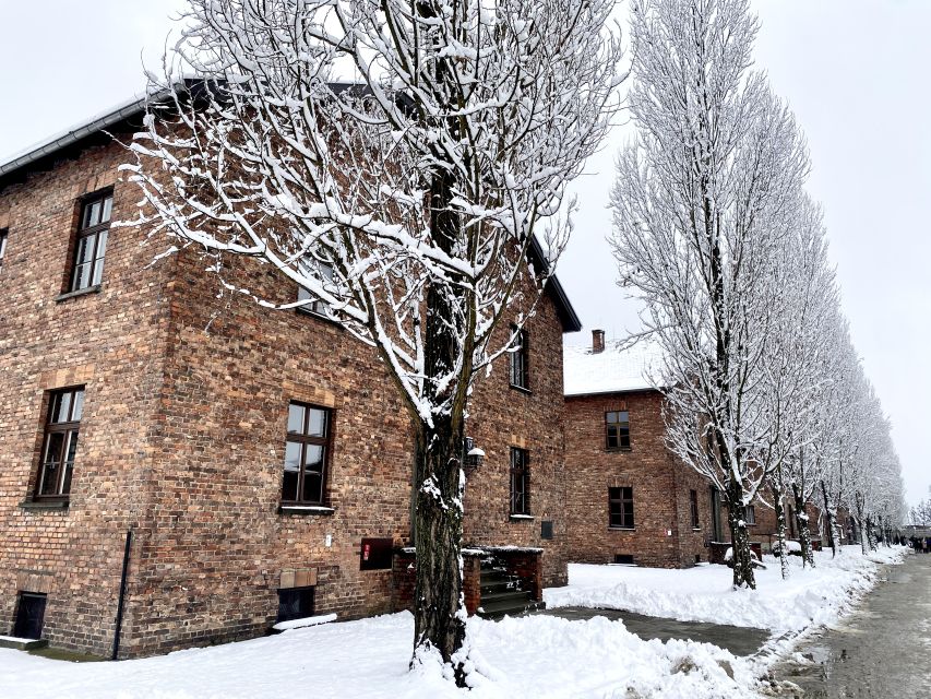 From Wrocław: Full-Day Auschwitz-Birkenau Guided Tour