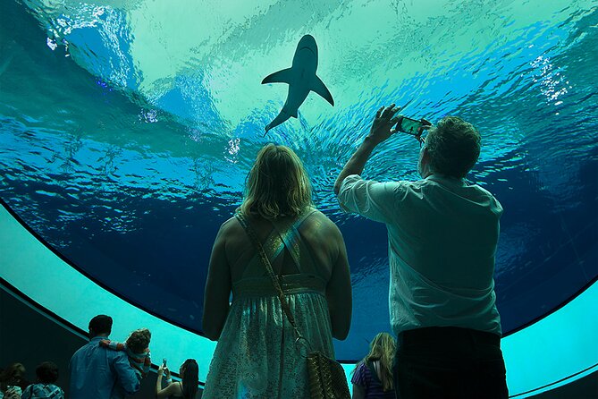 Frost Science Museum Admission Tickets - Museum Features
