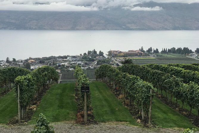 Full Day 4 Wineries Mission Hill & Quails Gate With Lunch Stop*