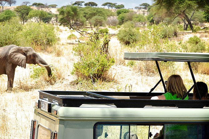 Full-Day Arusha Tarangire National Park Private Tour