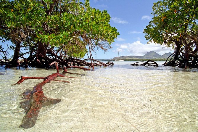 Full-Day At Ile Aux Cerf: Speed Boat, GRSE, Lunch On A Private Island & Transfer