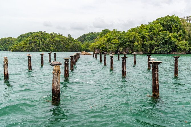 Full-Day at Los Haitises National Park