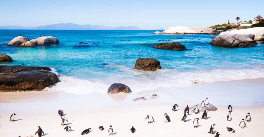 Full Day Cape Peninsula Tour