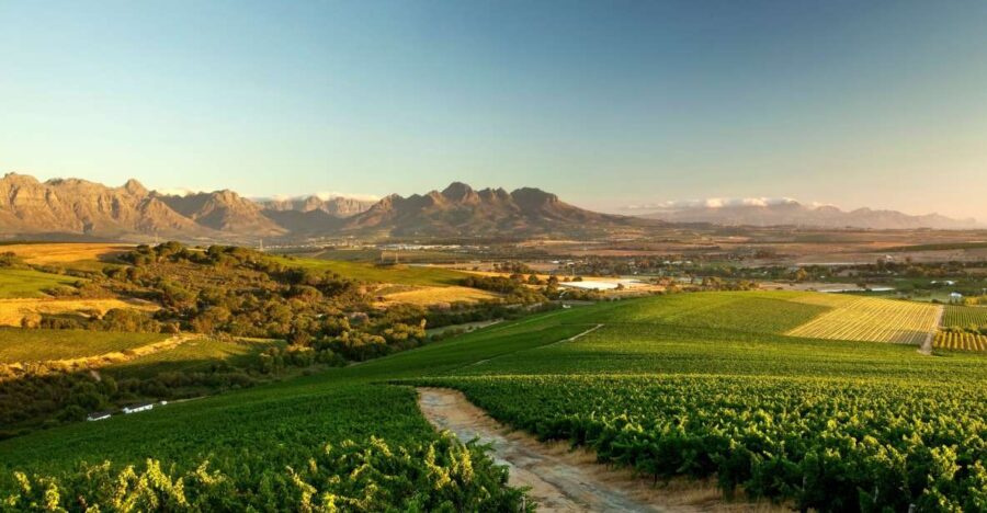 Full-Day Cape Winelands Tour