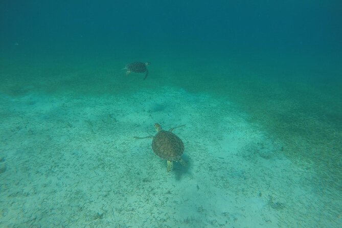 Full Day Charter From Fajardo to Culebra