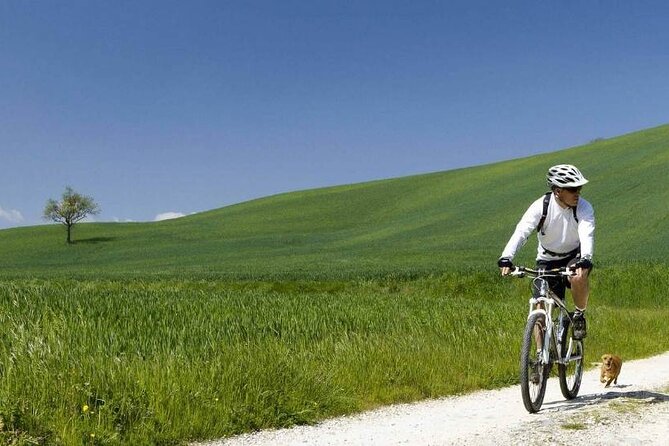 Full-Day Chianti E- Bike Tour