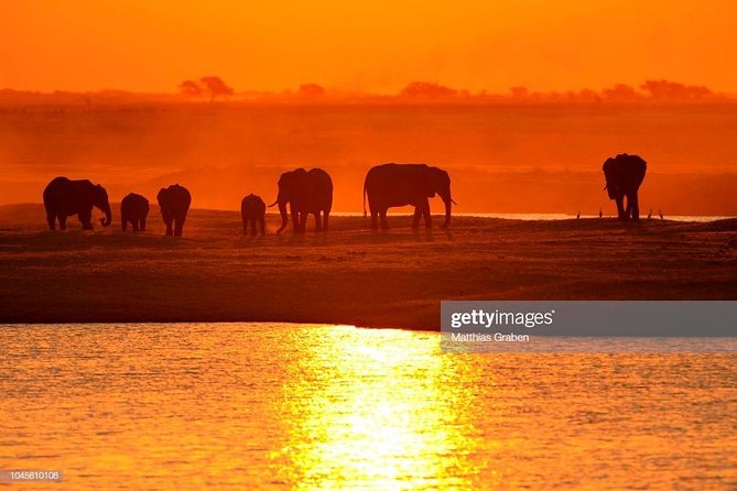 Full Day Chobe National Park Big 5 Safari