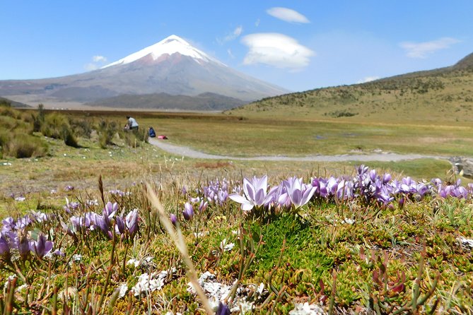 Full-day Cotopaxi