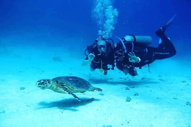 Full Day Diving for Beginners With Lunch in Hurghada