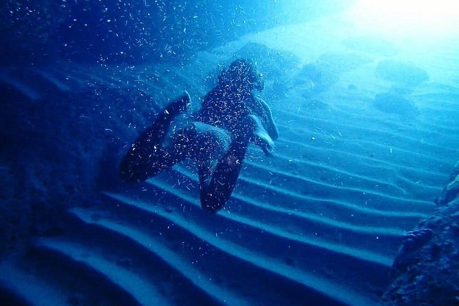 Full Day Guided Sea Kayaking and Snorkeling to Green Cave From Lopud Island - Overview of the Tour