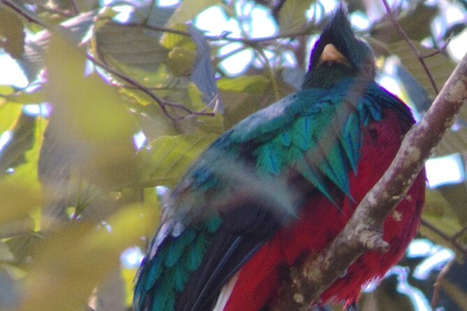 Full Day Hiking and Bird Watching at Savegre River San Gerardo Near to San Jose - Tour Highlights
