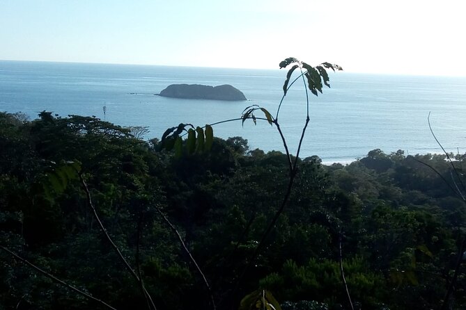 Full Day Hiking Manuel Antonio and Watching Wild Life at Nature From San Jose - Tour Overview