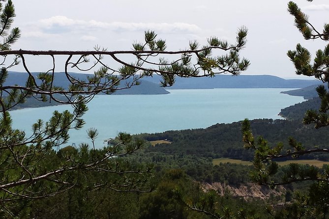 Full Day Lavender Tour Luberon and Sault