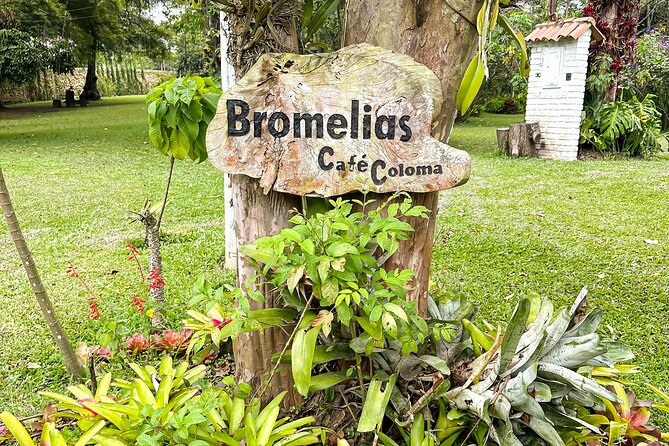 Full Day Learning About the Process of the Best Coffee in the World