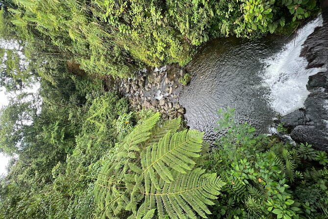 Full Day National Park Adventure