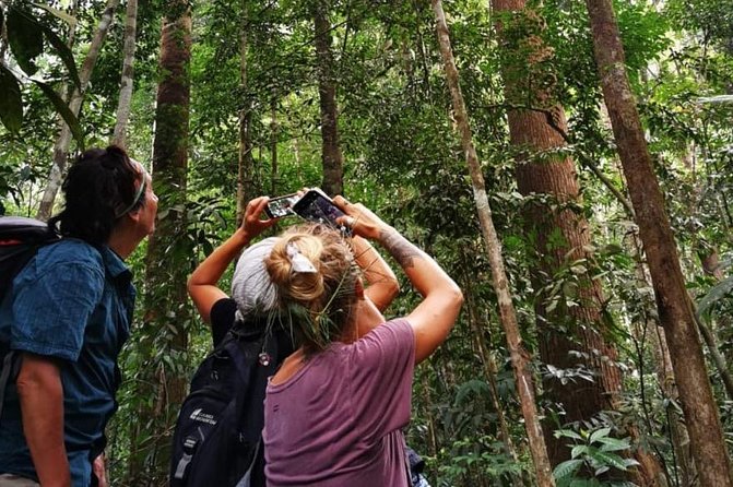 Full-Day Orangutans Adventure in Gunung Leuser - Meeting and Pickup