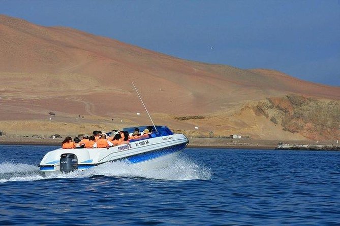 Full Day Paracas