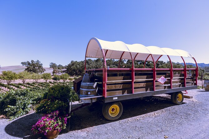 Full-Day Paso Robles Winery Tour With Picnic
