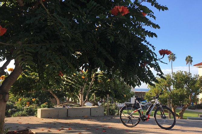 Full Day Performance Ebike Rental