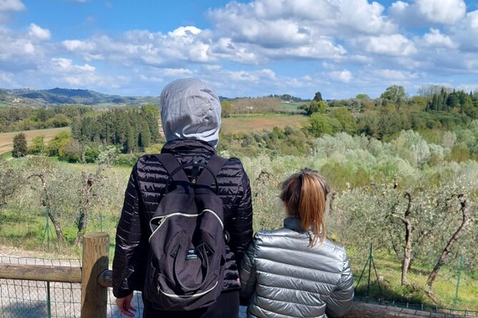 Full-Day Pisa Private Guided Tour With Visit to Local Wine Farm - Tour Overview