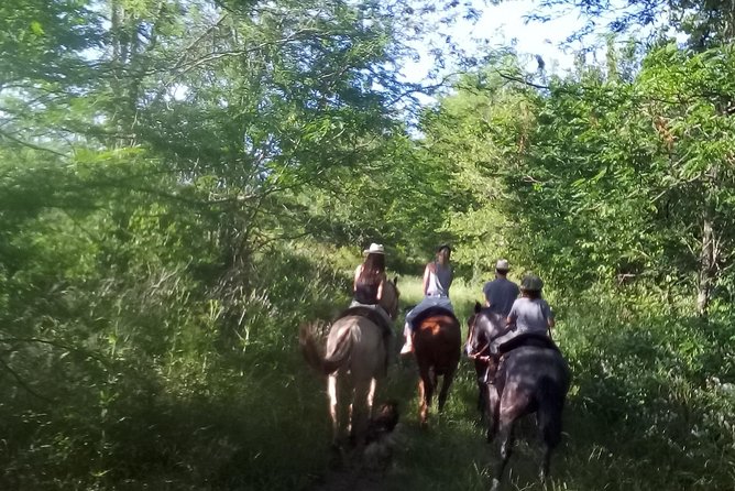 2 Best Guided Tours In Buenos Aires Province