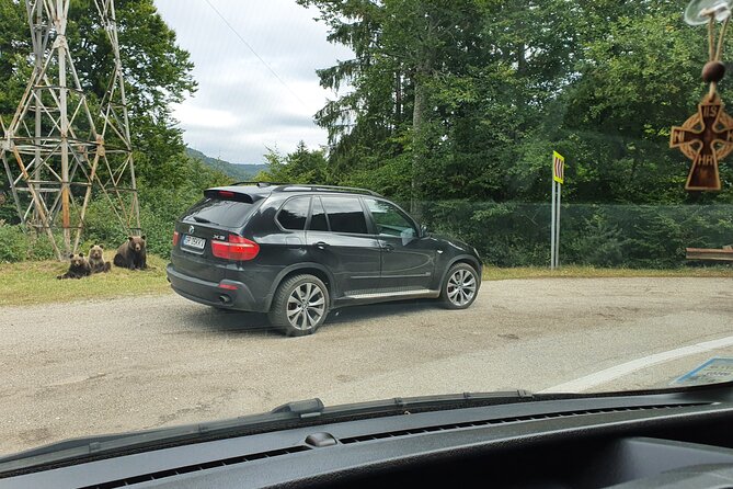 Full-Day Private Carpatian Garden With Draculas Fortress – Wild Brown Bears