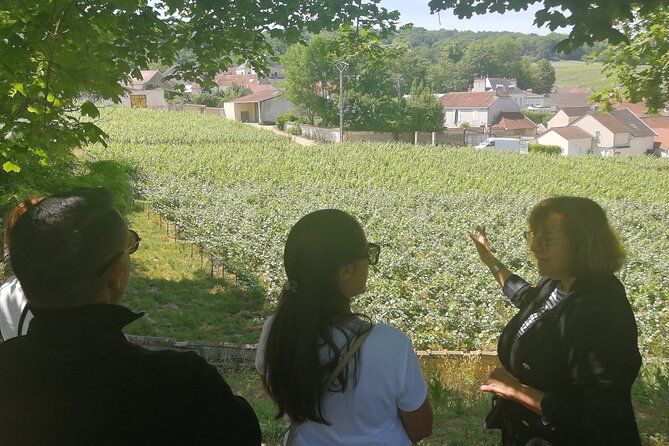 Full-Day Private Champagne Tasting in Reims and Its Vineyards - Highlights of the Tour