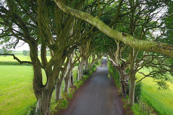 Full-Day Private Giants Causeway Experience