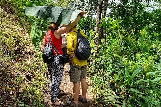 Full Day Private Materuni Waterfall and Kikuletwa Hot Spring Tour - Tour Highlights