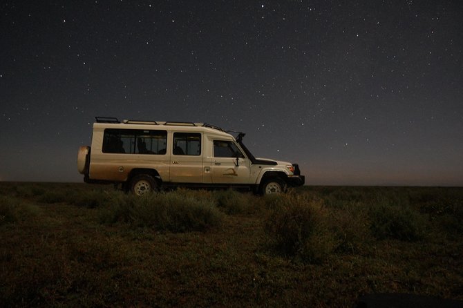 Full-Day Private Serengeti Safari From Mwanza - Serengeti Safari Overview