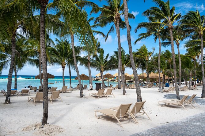 Full Day Private Shore Tour in Oranjestad From Oranjestad Port