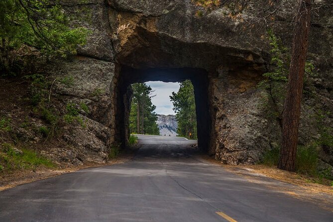 Full-Day Private Sightseeing Tour in South Dakota