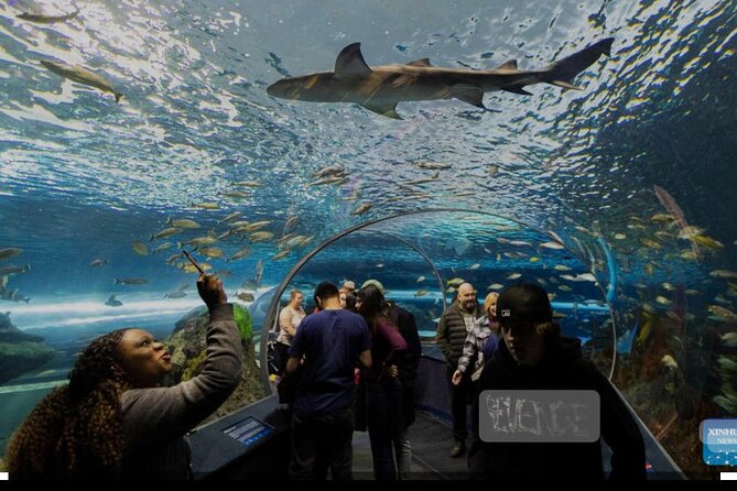 Full Day Private Sightseeing Tour in Toronto